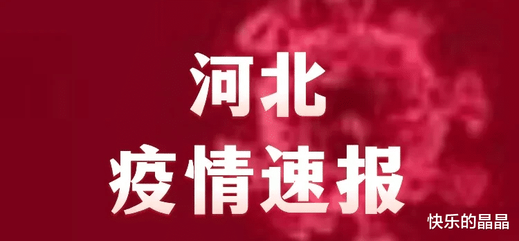 河北最新疫情通报，今天的热点，咱们聊点实在的